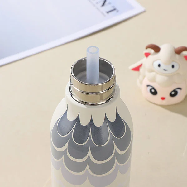 Stainless Steel Water Bottle